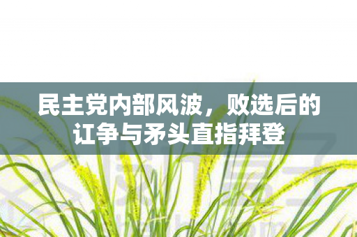 民主党内部风波，败选后的讧争与矛头直指拜登