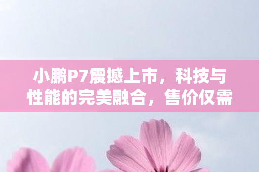 小鹏P7震撼上市，科技与性能的完美融合，售价仅需18.68万元起