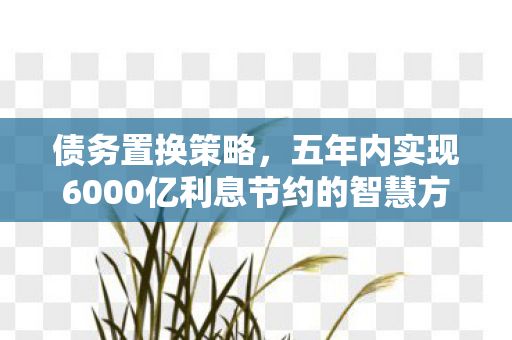 债务置换策略，五年内实现6000亿利息节约的智慧方案