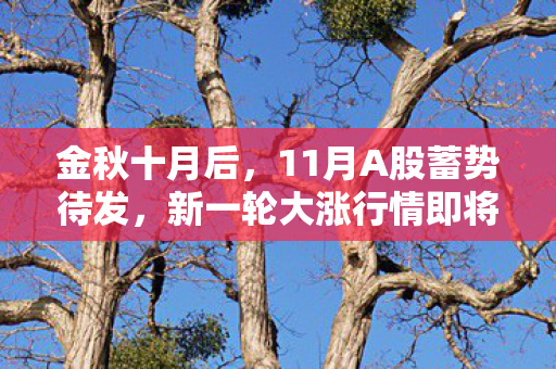 金秋十月后，11月A股蓄势待发，新一轮大涨行情即将开启？