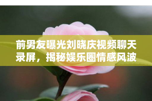 前男友曝光刘晓庆视频聊天录屏，揭秘娱乐圈情感风波