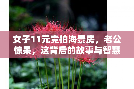 女子11元竞拍海景房，老公惊呆，这背后的故事与智慧决策