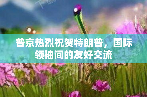 普京热烈祝贺特朗普，国际领袖间的友好交流