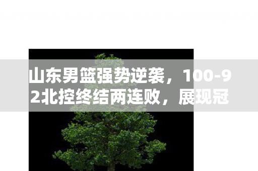 山东男篮强势逆袭，100-92北控终结两连败，展现冠军风采