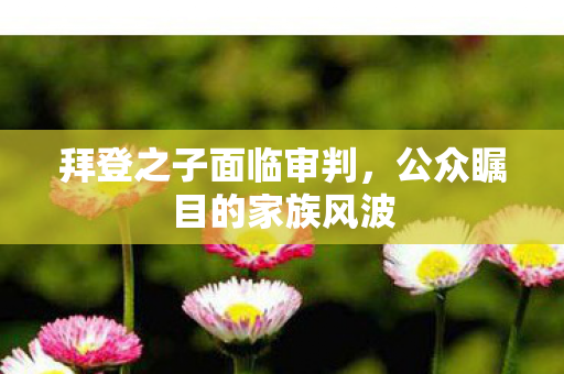 拜登之子面临审判，公众瞩目的家族风波