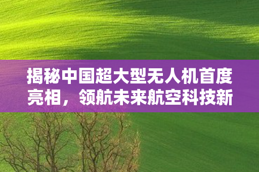 揭秘中国超大型无人机首度亮相，领航未来航空科技新篇章