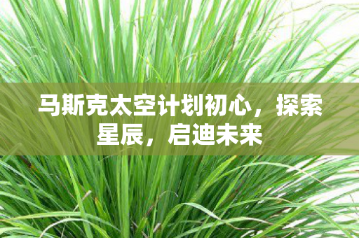 马斯克太空计划初心，探索星辰，启迪未来
