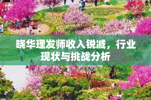 晓华理发师收入锐减，行业现状与挑战分析