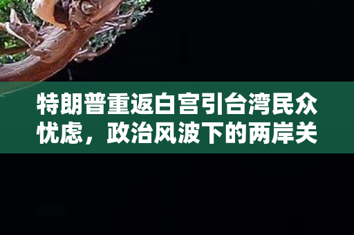 特朗普重返白宫引台湾民众忧虑，政治风波下的两岸关系展望