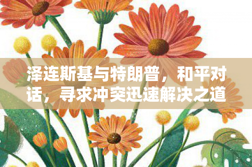 泽连斯基与特朗普，和平对话，寻求冲突迅速解决之道