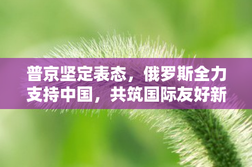 普京坚定表态，俄罗斯全力支持中国，共筑国际友好新篇章