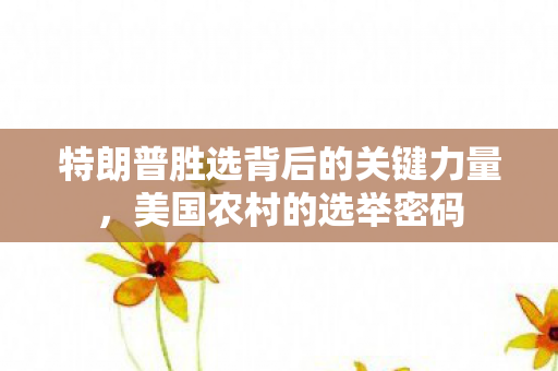特朗普胜选背后的关键力量，美国农村的选举密码