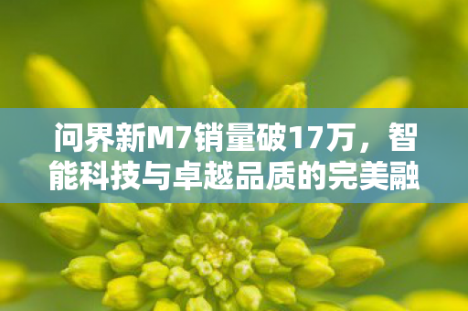 问界新M7销量破17万，智能科技与卓越品质的完美融合