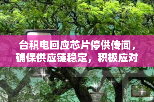 台积电回应芯片停供传闻，确保供应链稳定，积极应对市场挑战