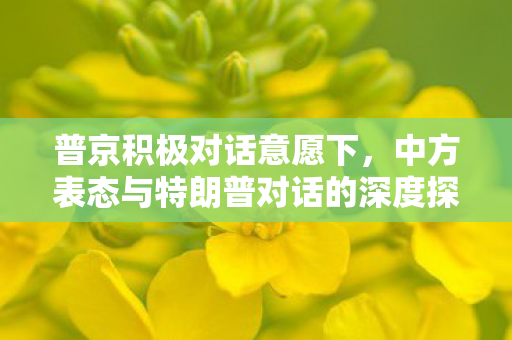 普京积极对话意愿下，中方表态与特朗普对话的深度探讨