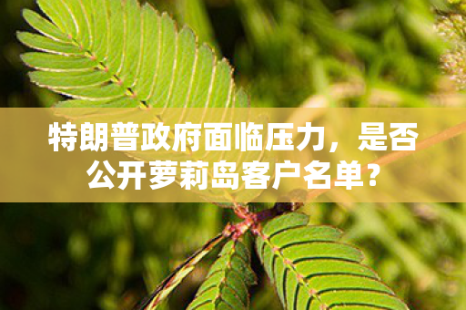 特朗普政府面临压力，是否公开萝莉岛客户名单？