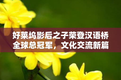 好莱坞影后之子荣登汉语桥全球总冠军，文化交流新篇章的璀璨之星