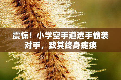 震惊！小学空手道选手偷袭对手，致其终身瘫痪