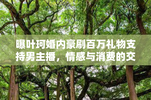 曝叶珂婚内豪刷百万礼物支持男主播，情感与消费的交织纪实