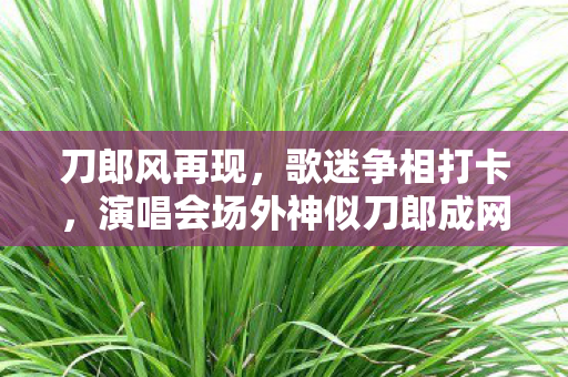刀郎风再现，歌迷争相打卡，演唱会场外神似刀郎成网红打卡点