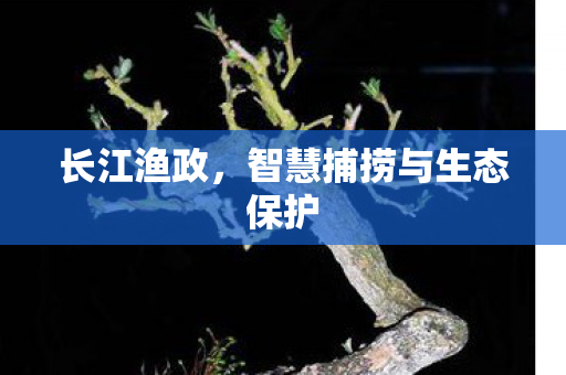 长江渔政，智慧捕捞与生态保护