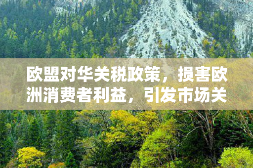 欧盟对华关税政策，损害欧洲消费者利益，引发市场关注