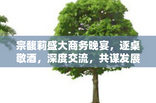 宗馥莉盛大商务晚宴，逐桌敬酒，深度交流，共谋发展