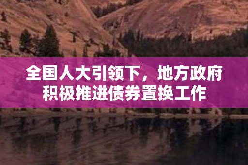 全国人大引领下，地方政府积极推进债券置换工作
