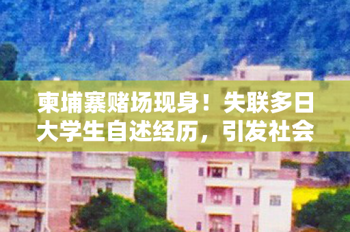 柬埔寨赌场现身！失联多日大学生自述经历，引发社会广泛关注