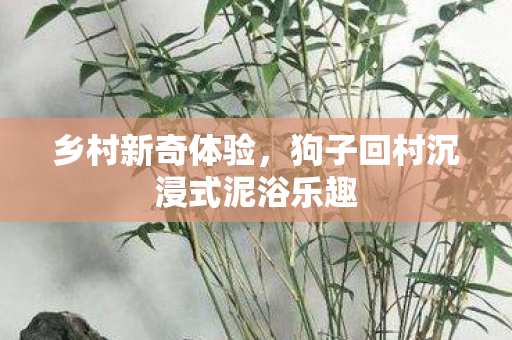 乡村新奇体验，狗子回村沉浸式泥浴乐趣