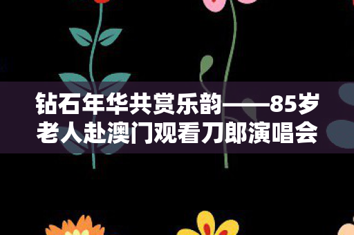 钻石年华共赏乐韵——85岁老人赴澳门观看刀郎演唱会