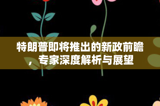 特朗普即将推出的新政前瞻，专家深度解析与展望