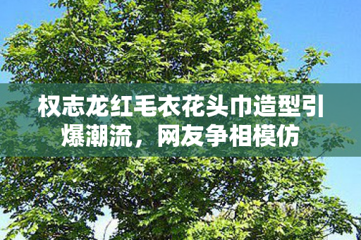 权志龙红毛衣花头巾造型引爆潮流，网友争相模仿
