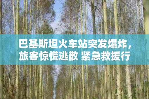 巴基斯坦火车站突发爆炸，旅客惊慌逃散 紧急救援行动全面展开