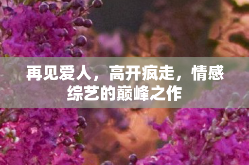 再见爱人，高开疯走，情感综艺的巅峰之作