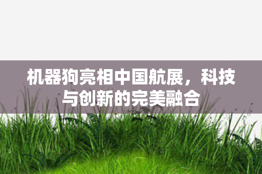 机器狗亮相中国航展，科技与创新的完美融合