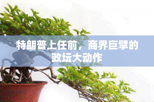 特朗普上任前，商界巨擘的政坛大动作