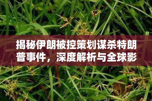 揭秘伊朗被控策划谋杀特朗普事件，深度解析与全球影响