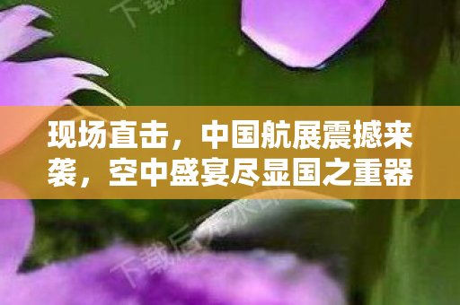 现场直击，中国航展震撼来袭，空中盛宴尽显国之重器
