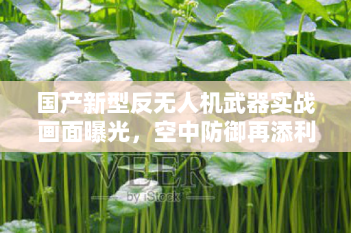 国产新型反无人机武器实战画面曝光，空中防御再添利器