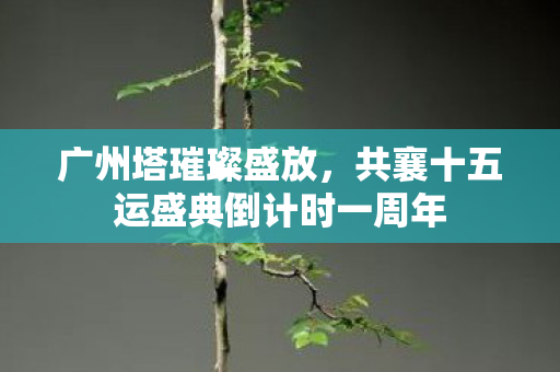 广州塔璀璨盛放，共襄十五运盛典倒计时一周年