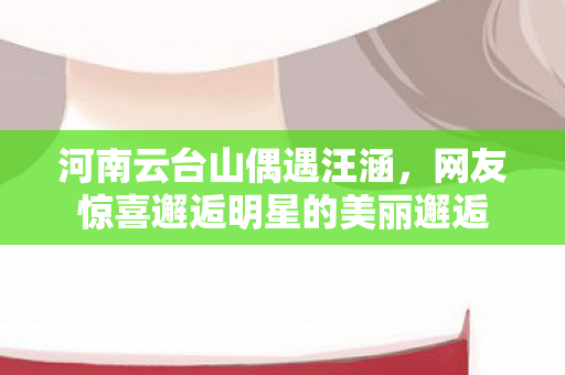 河南云台山偶遇汪涵，网友惊喜邂逅明星的美丽邂逅