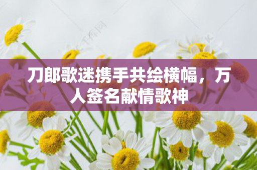 刀郎歌迷携手共绘横幅，万人签名献情歌神