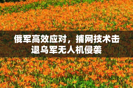 俄军高效应对，捕网技术击退乌军无人机侵袭