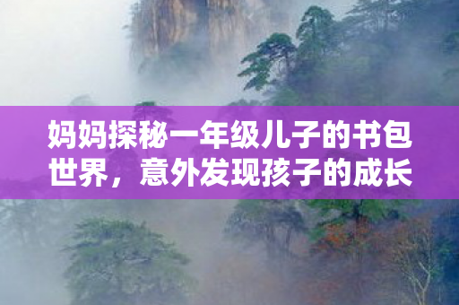 妈妈探秘一年级儿子的书包世界，意外发现孩子的成长印记