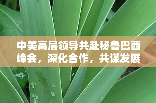 中美高层领导共赴秘鲁巴西峰会，深化合作，共谋发展新篇章