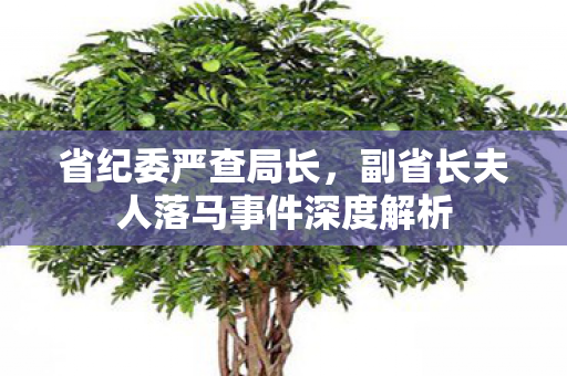 省纪委严查局长，副省长夫人落马事件深度解析