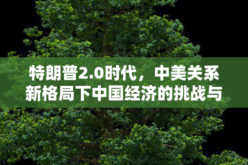 特朗普2.0时代，中美关系新格局下中国经济的挑战与机遇