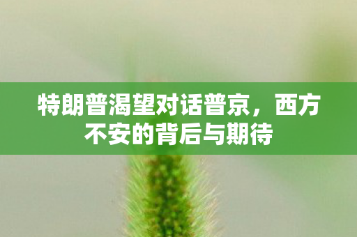 特朗普渴望对话普京，西方不安的背后与期待