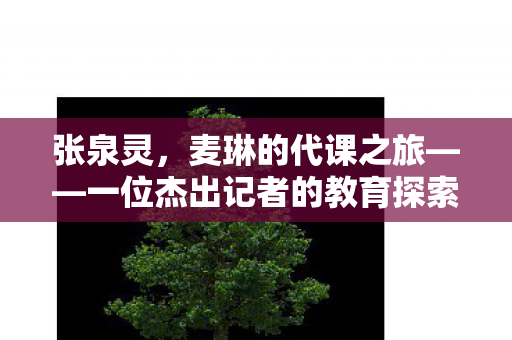 张泉灵，麦琳的代课之旅——一位杰出记者的教育探索